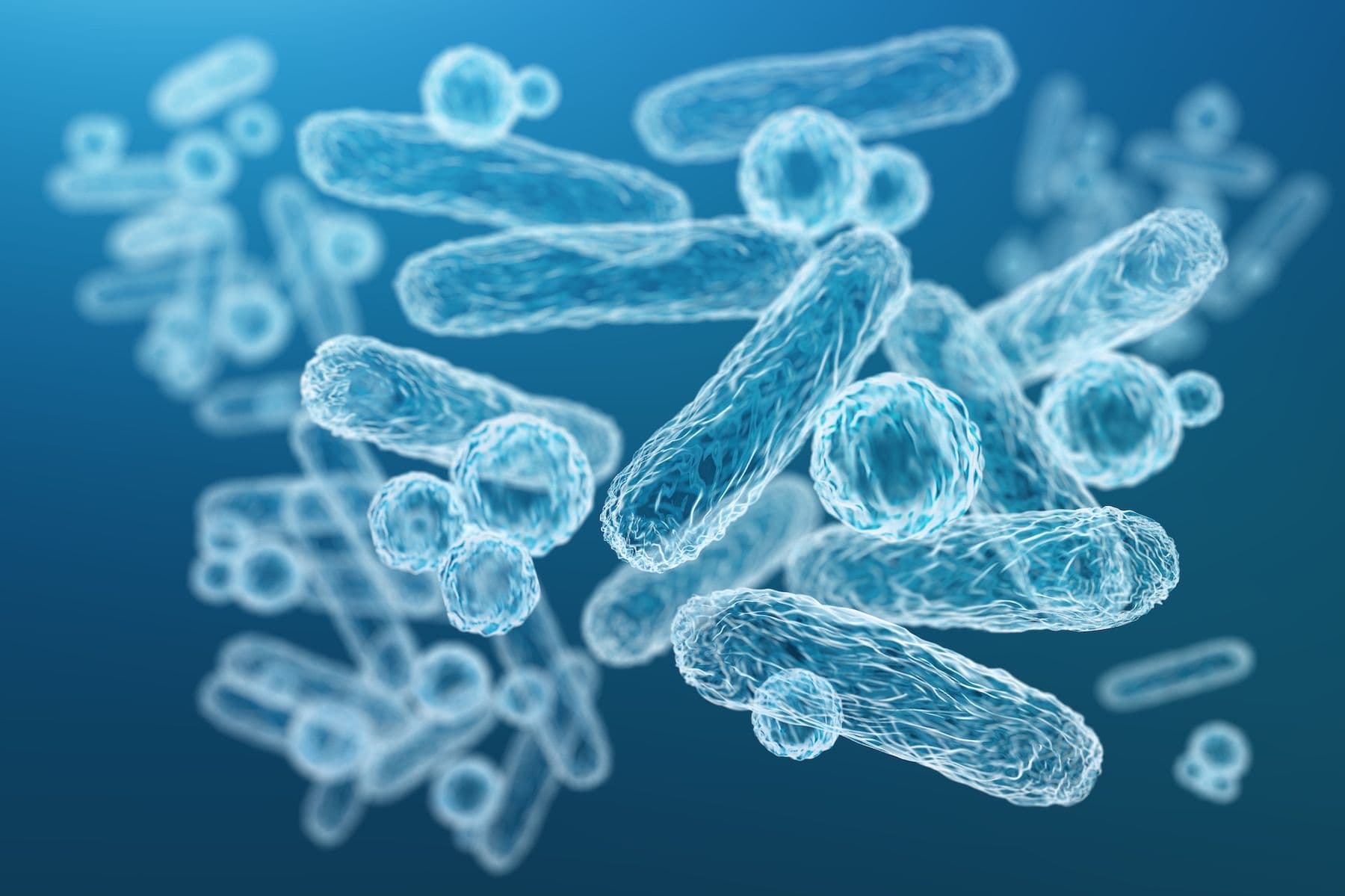 How your gut microbiome affects your metabolic health