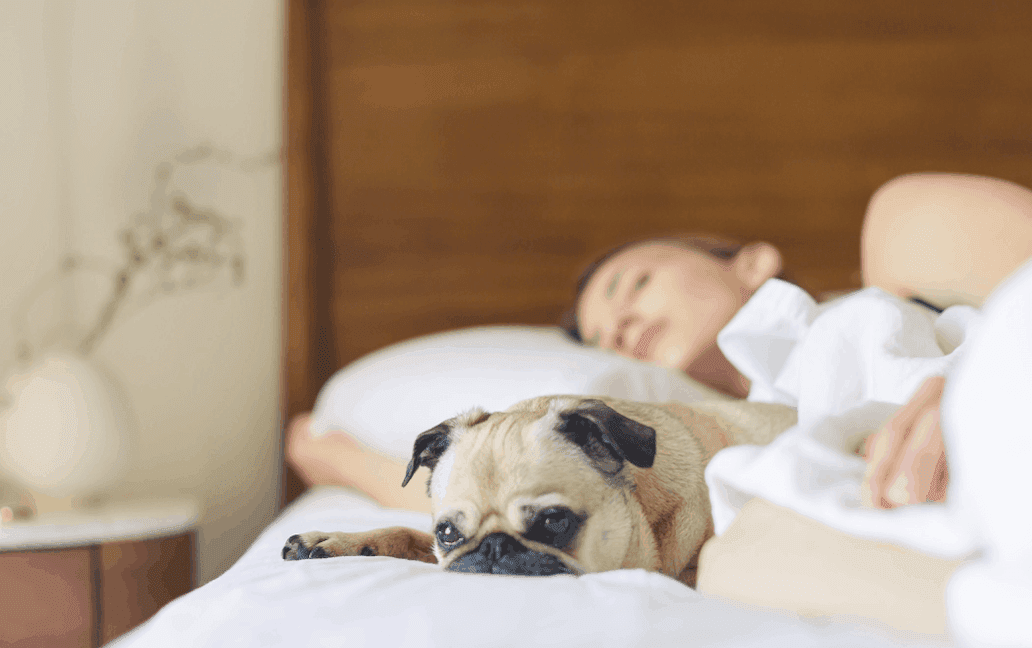 An exploration of some of the reasons why glucose readings on CGM may appear low while sleeping.