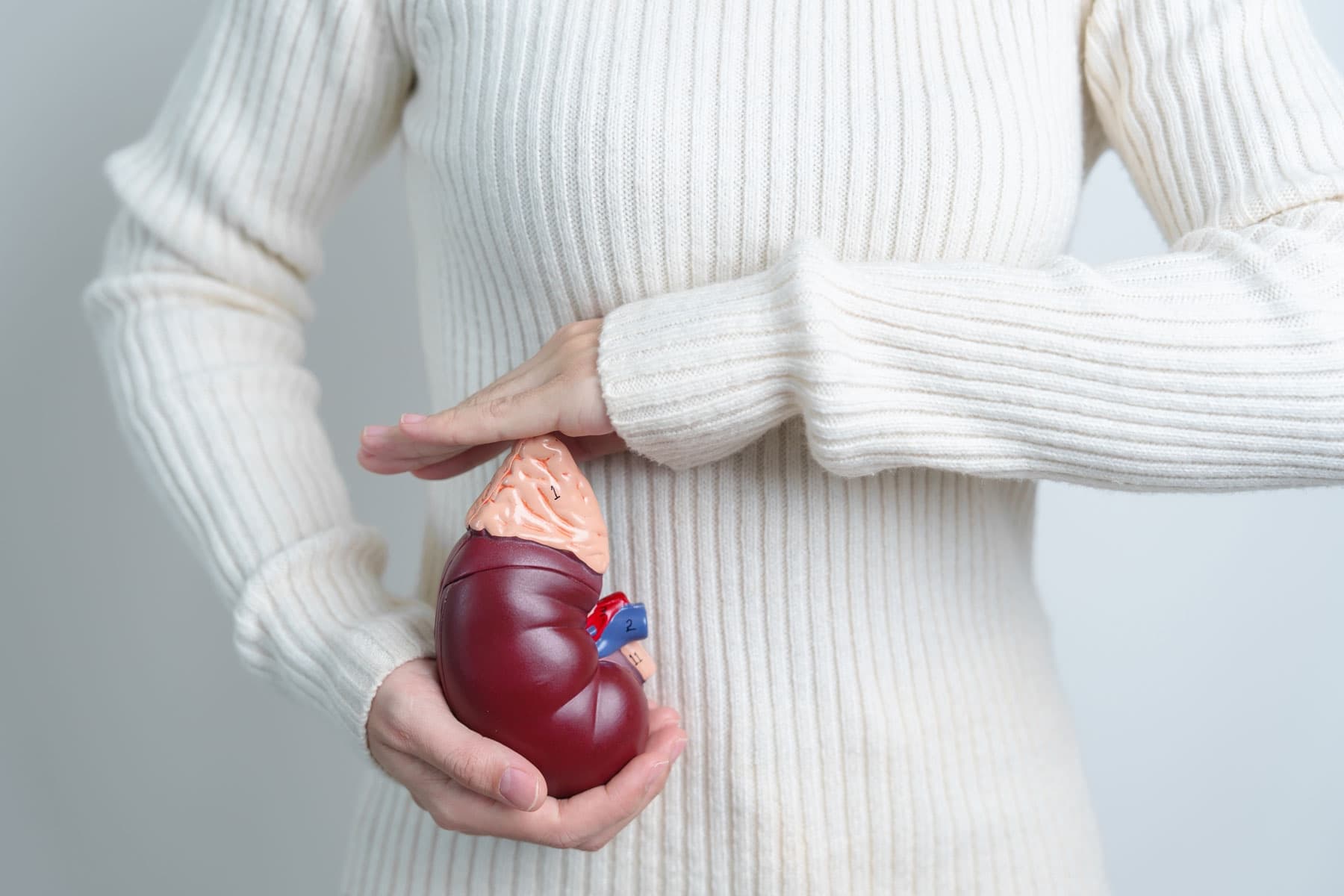 A person with a healthy kidney