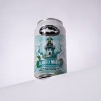 Dogfish Head Slightly Mighty Lo-Cal IPA