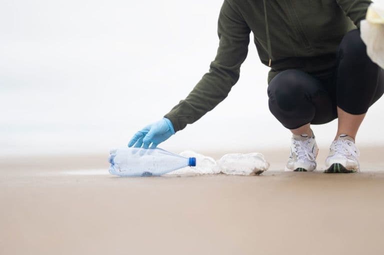 How environmental toxins impact metabolic health