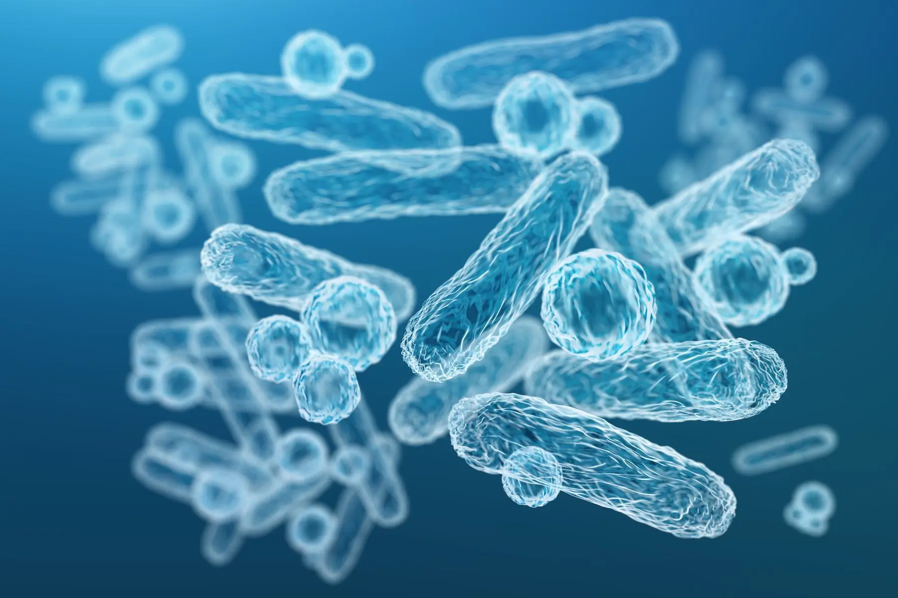 The organisms that make up your microbiome impact how your body processes food and your overall health. Here's how you can keep your microbiome healthy.
