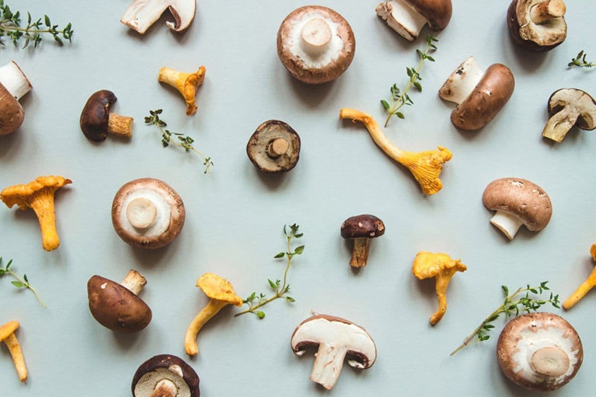 These fungi pack a range of compounds that can help balance blood sugar, fight free radicals, and lower cholesterol.
